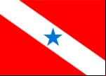Bandeira do Par