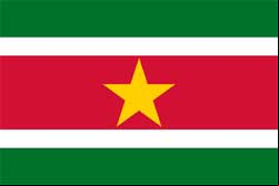 Bandeira do Suriname
