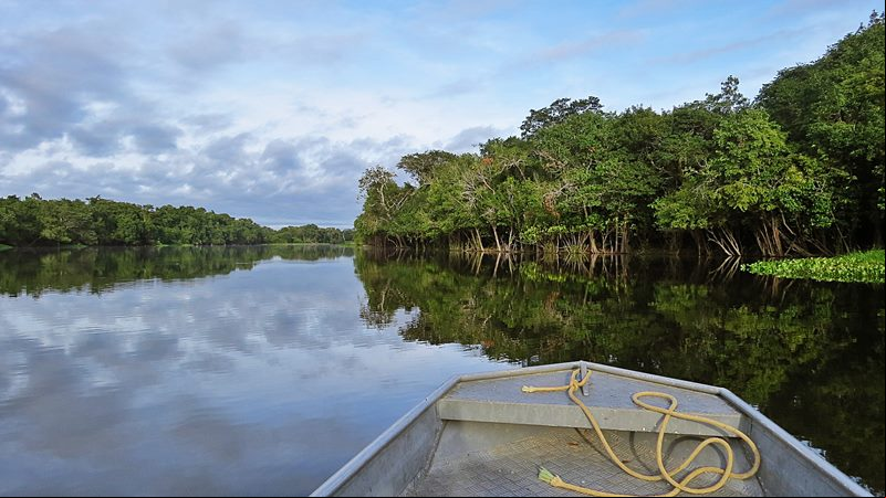 Manaus - Amazonas - Regi