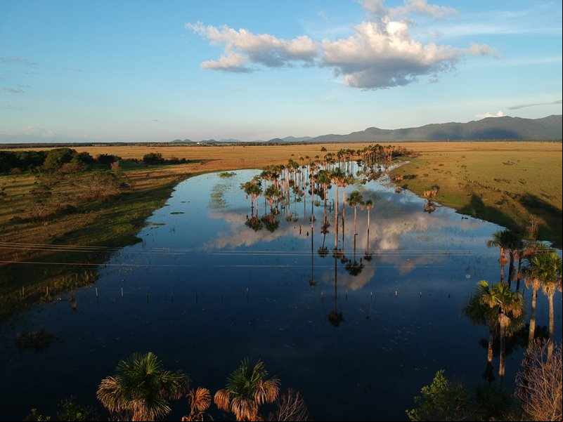 Viajar no feriado de Corpus Christi para Roraima - Estado de Roraima - Regi