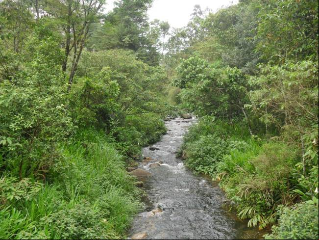Rio Preto - Maring