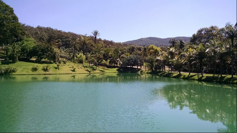 Instituto Inhotim - Brumadinho - Estado de Minas Gerais - Regi