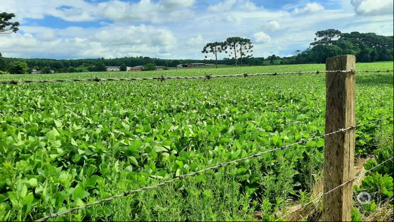 Agricultura - Col