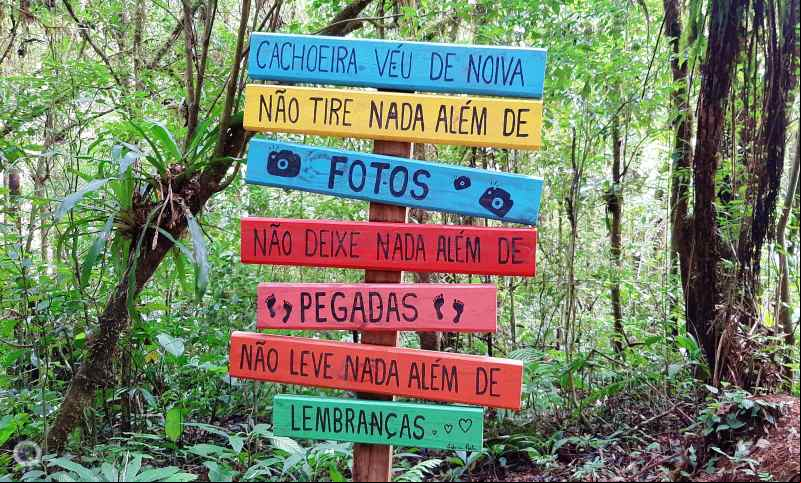 Cachoeira V