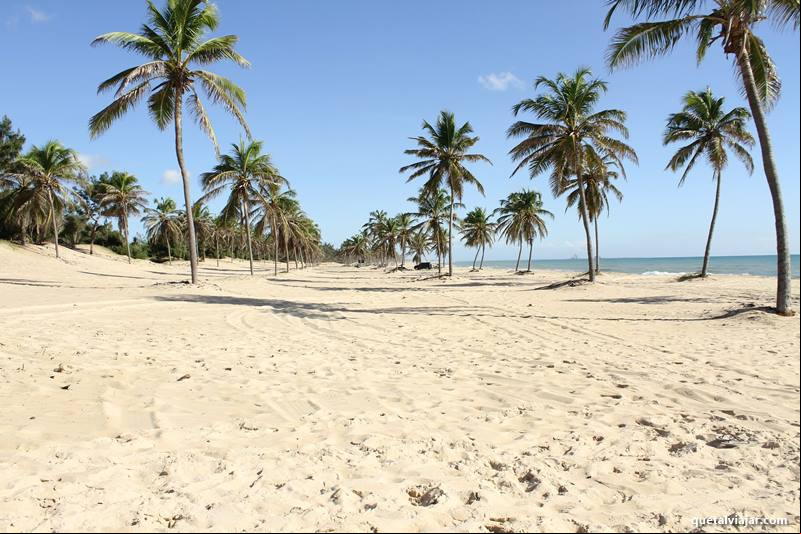 Viajar no feriado de Nossa Senhora Aparecida para Fortaleza - 12 de outubro de 2025 em Fortaleza