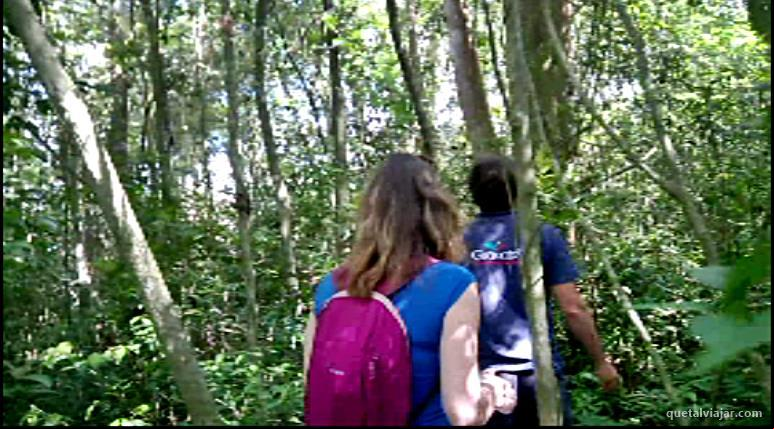 Ecopark Termas - Gravatal - Santa Catarina - Regi