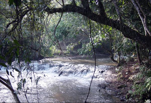 Rio Feij