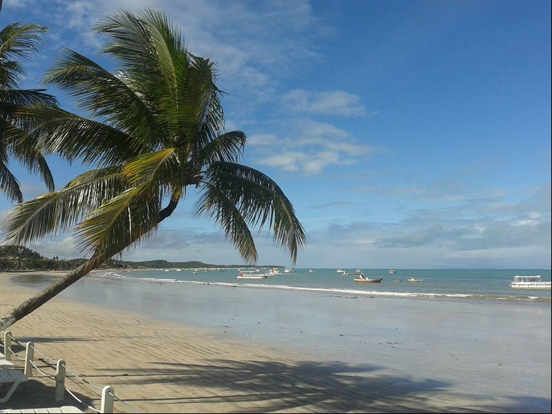 Praia - Maragogi - Alagoas - Regi