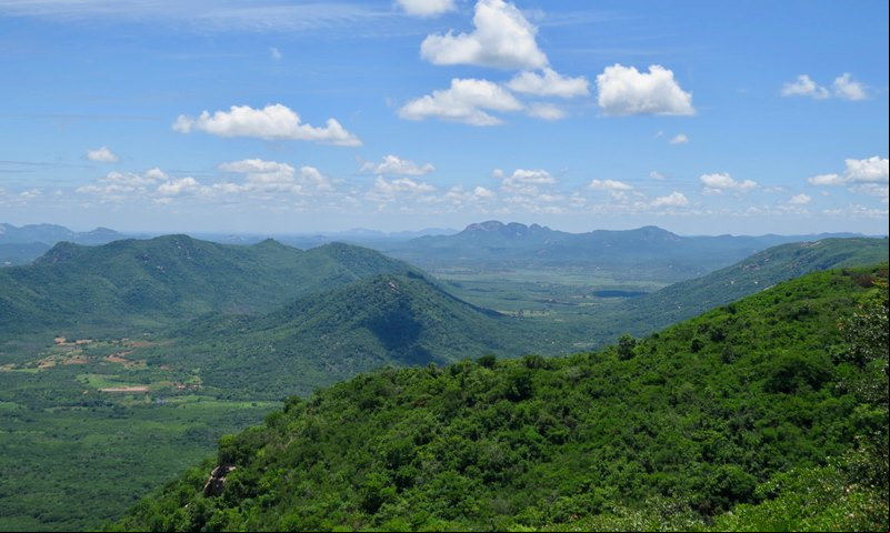 Martins - Estado do Rio Grande do Norte - Regi