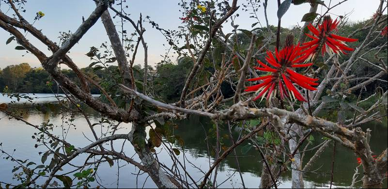 Nova Lima - Estado de Minas Gerais - Regi