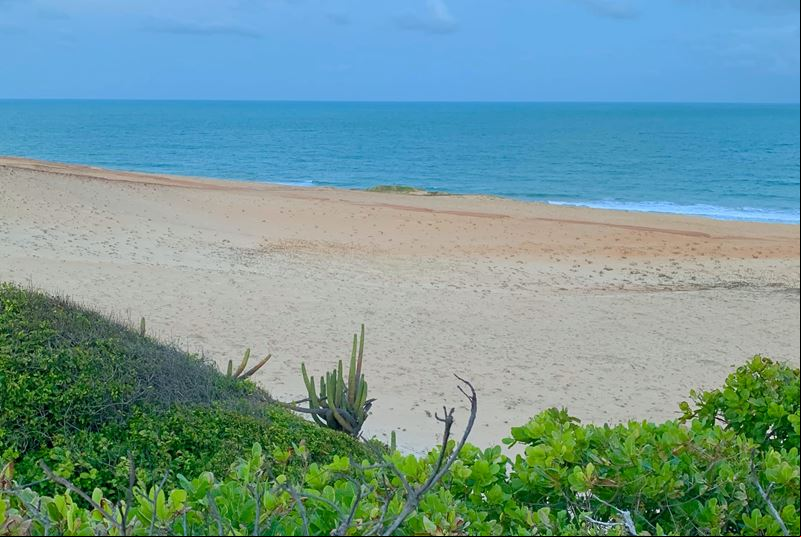 Praia de Cotovelo - Parnamirim - Estado do Rio Grande do Norte - Regi