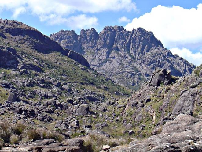 Pico das Agulhas Negras - Parque Nacional de Itatiaia - Bocaina de Minas - Minas Gerais - Regi