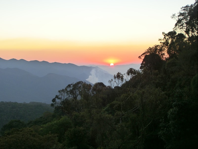 Parque Nacional do Itatiaia - Itatiaia - Estado do Rio de Janeiro - Regi