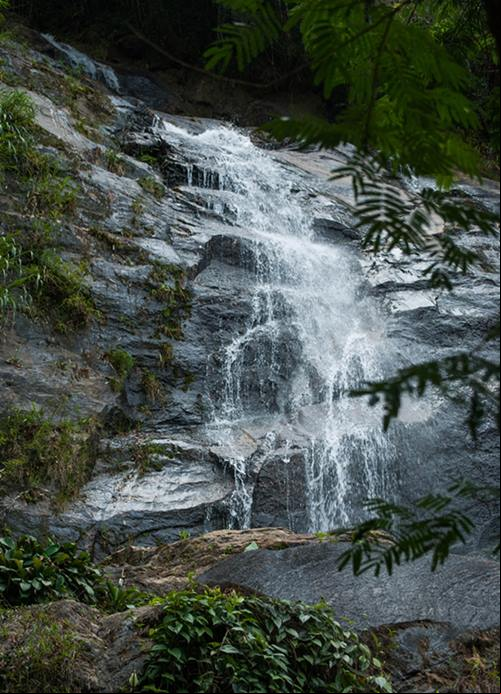 Rio de Janeiro - Regi