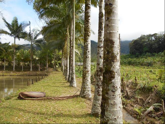 Instituto Carmelita - Rio dos Cedros - Vale Europeu Catarinense - Estado de Santa Catarina - Regi