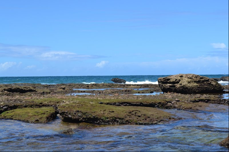 Salvador - Estado da Bahia - Regi