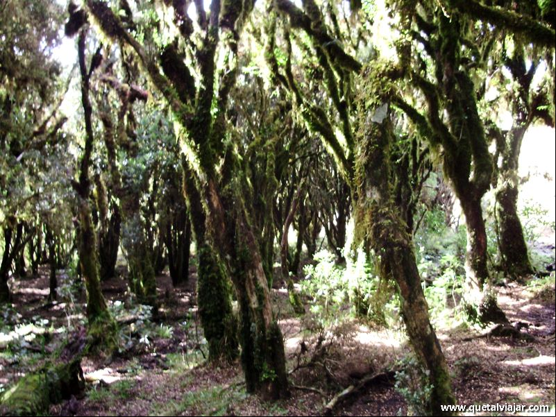 Parque Nacional de S