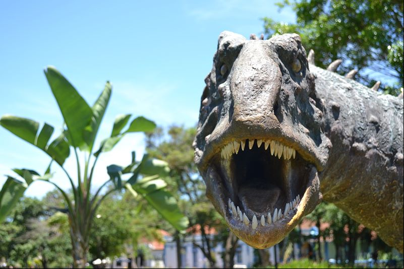 Viajar no feriado de Carnaval para a cidade de Uberaba - Estado de Minas Gerais - Carnaval 2026 em Uberaba