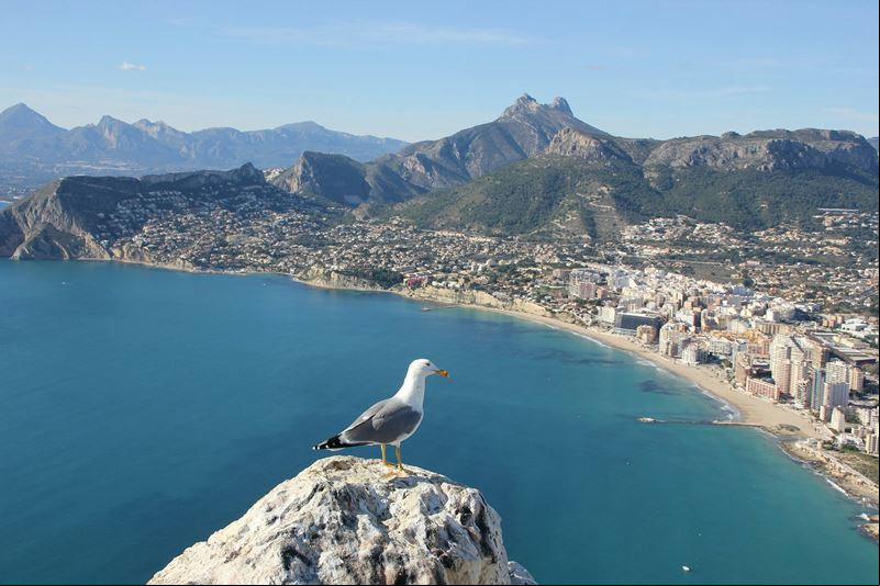 Alicante, na Comunidade Valenciana, 
