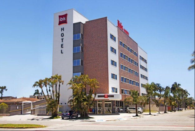 Ibis Paranagu